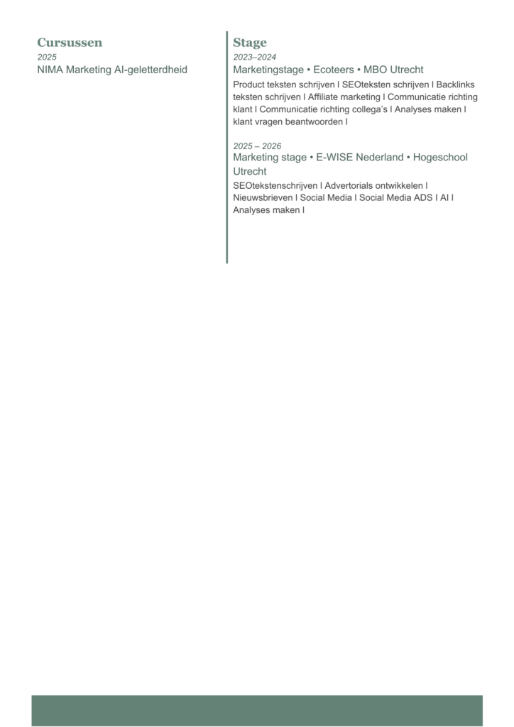 Deel 2 van de CV van Hamza Hemmet